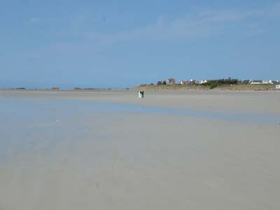 dossen-2024-08-25-055
