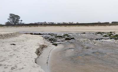 dossen-2024-12-27-057