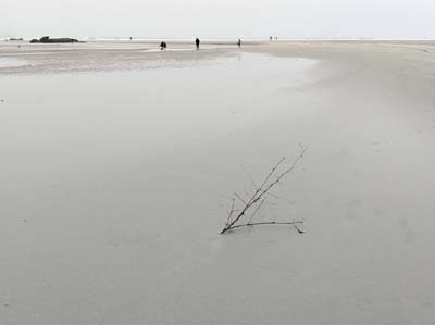 dossen-2024-12-27-059