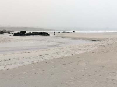 dossen-2024-12-27-061