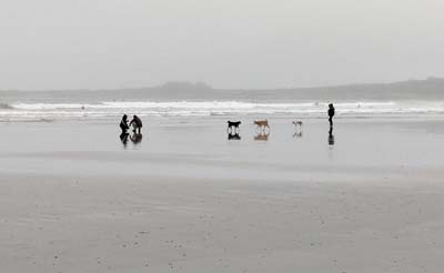 dossen-2024-12-27-063