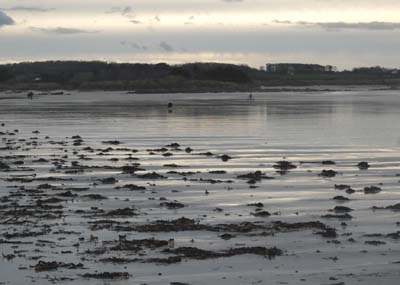 dossen-2025-01-09-002