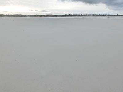 dossen-2025-01-09-013