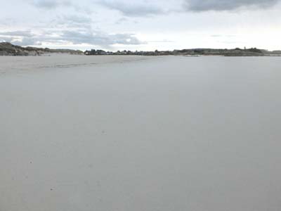 dossen-2025-01-09-014