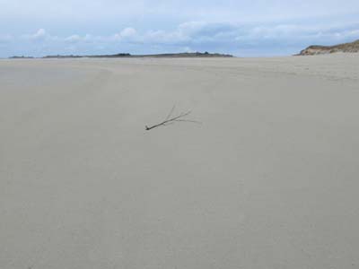 dossen-2025-01-09-022