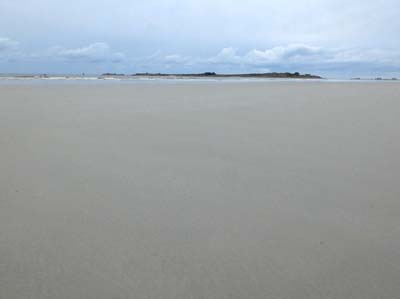dossen-2025-01-09-024