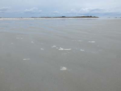 dossen-2025-01-09-026