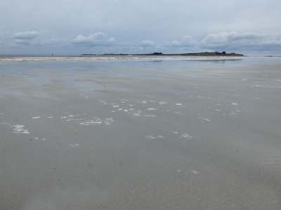 dossen-2025-01-09-028