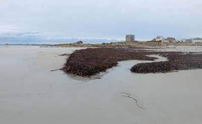dossen-2025-01-09-059 - pano