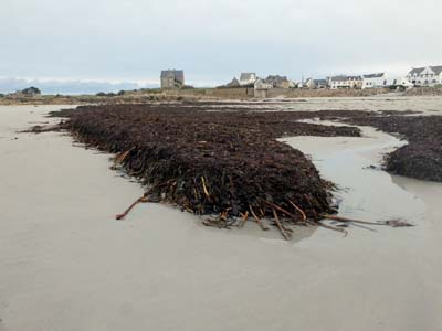 dossen-2025-01-09-062