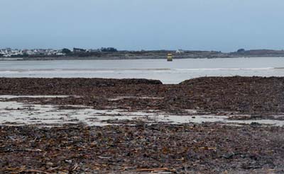 dossen-2025-01-09-073