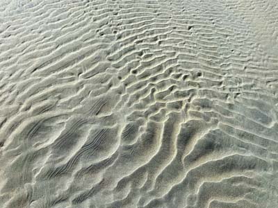dossen-2025-05-07-125