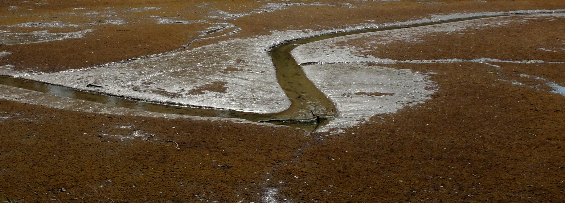 Accueil