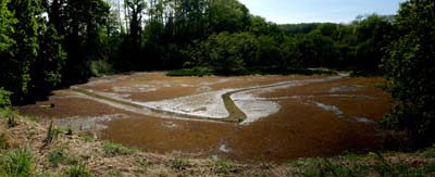 pnz-2024-05-11-003 - pano