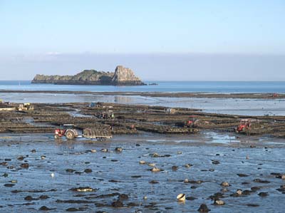 cancale-pc193623b
