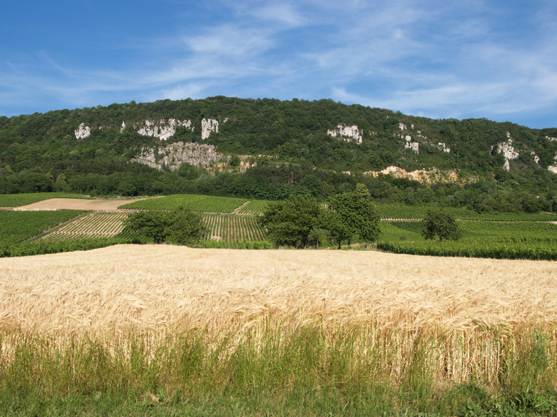 Accueil