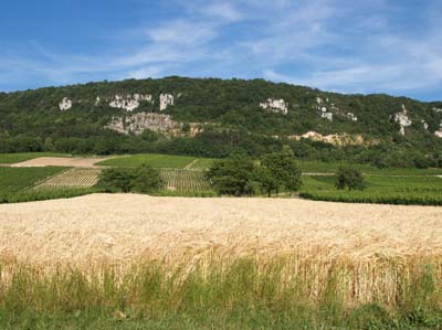 chateau-chalon-07