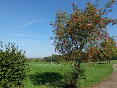 2015-09-21-058-f