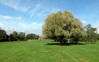 2015-09-21-059-f