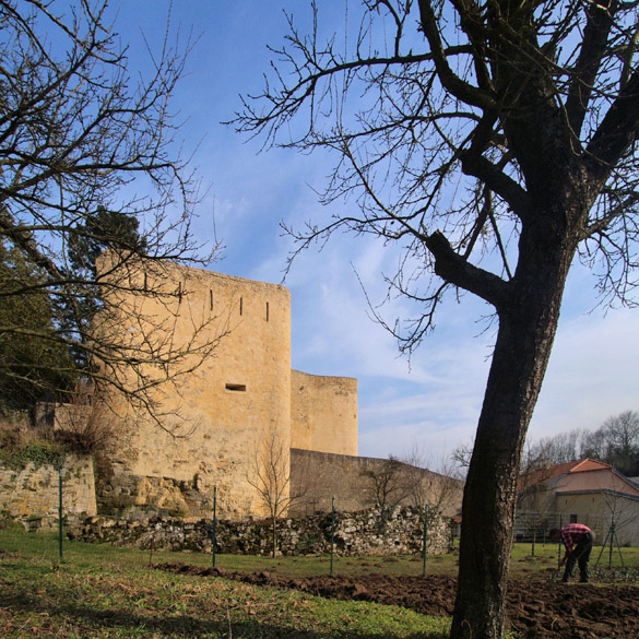 Accueil