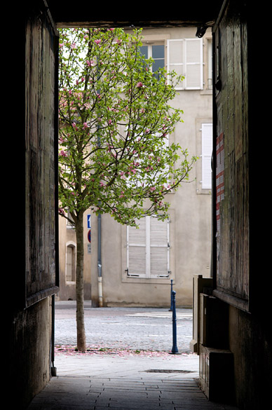 Accueil
