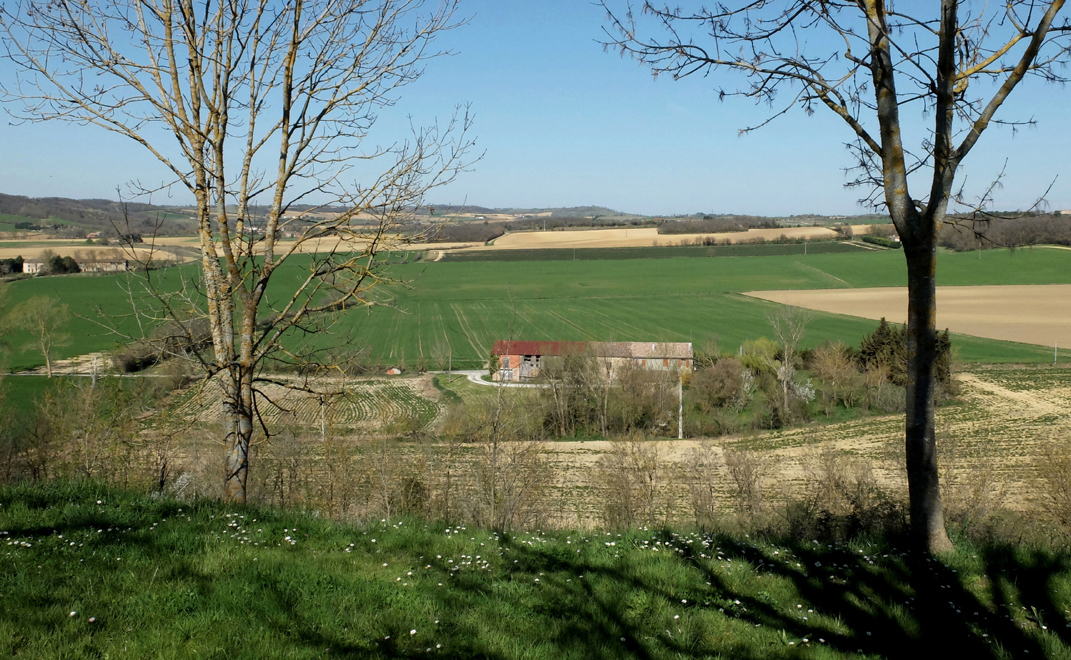 Accueil