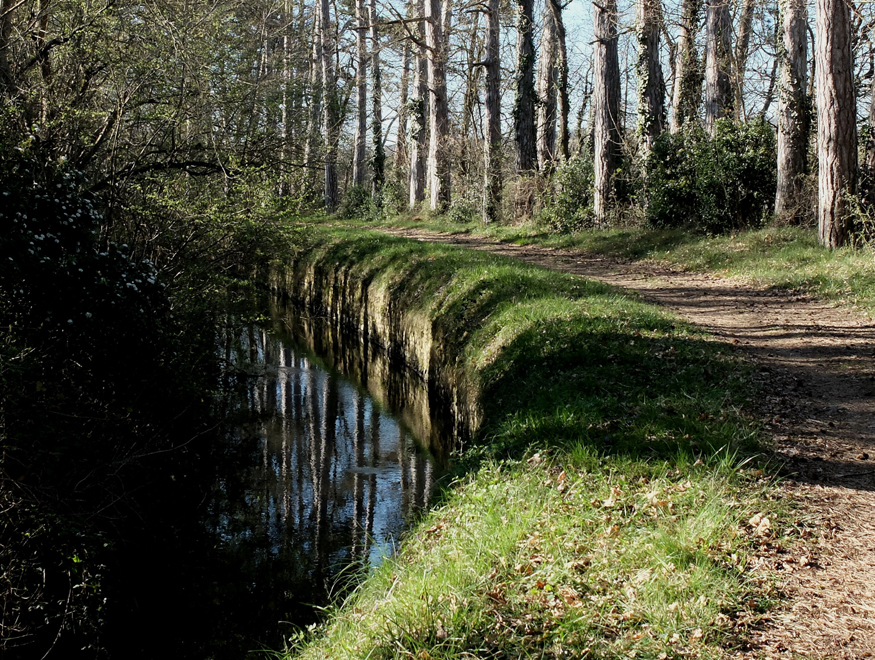 Accueil