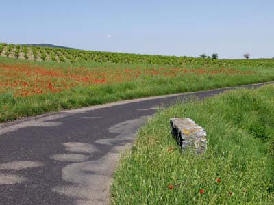 last-0-mi-p5236802a
