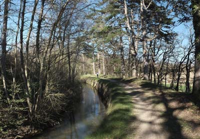 montmaur-2019-03-26-038pano