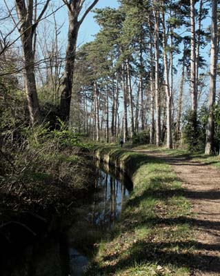montmaur-2019-03-26-120