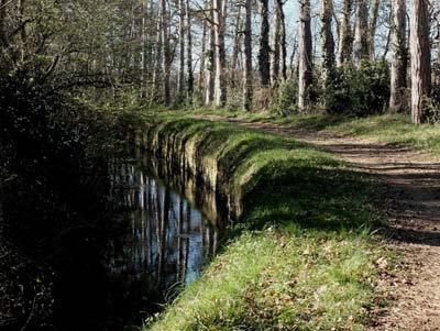 montmaur-2019-03-26-122