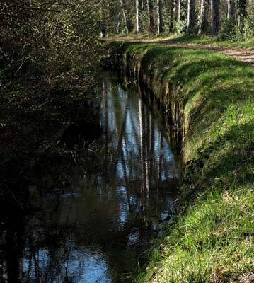 montmaur-2019-03-26-123