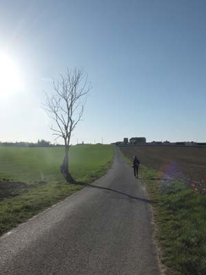 montmaur-2019-03-26-167