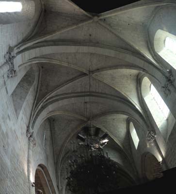 sthil-2025-03-06-139 - pano