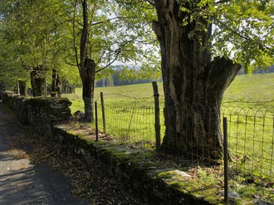 ville.-r--bosc-01