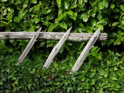 co-p6040729