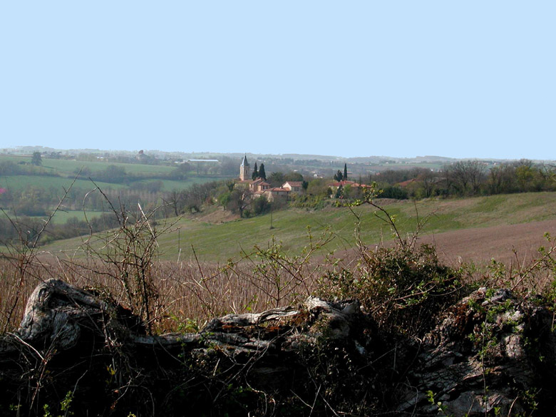 Accueil