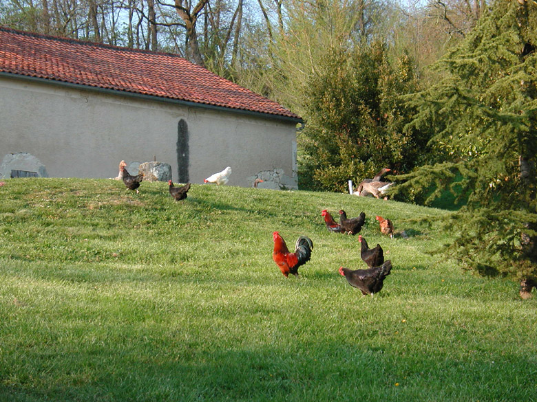 Accueil