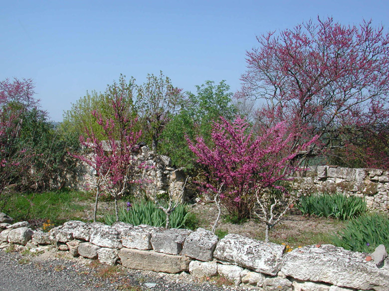 Accueil