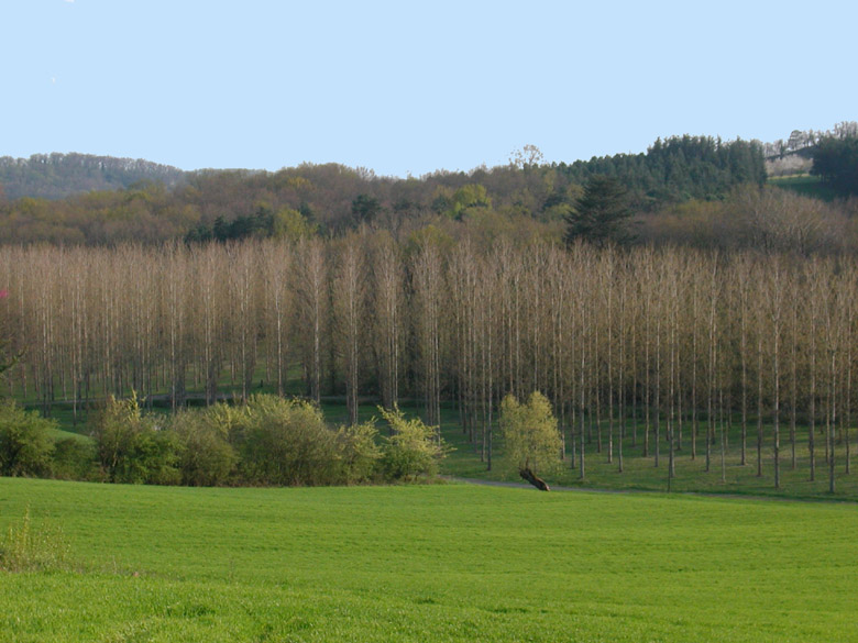 Accueil