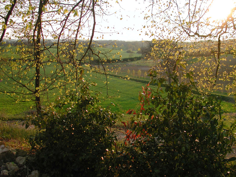 Accueil