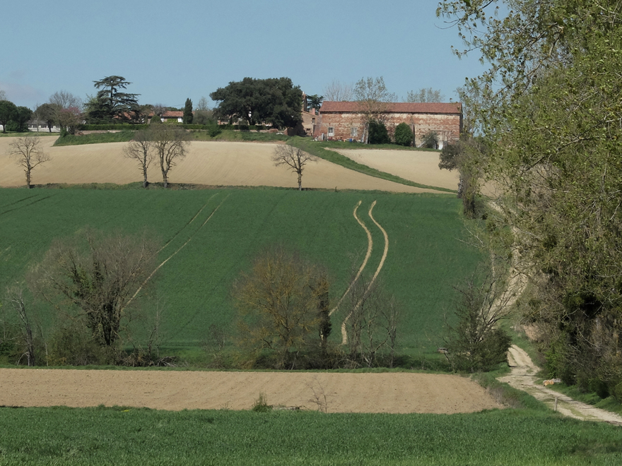 Accueil