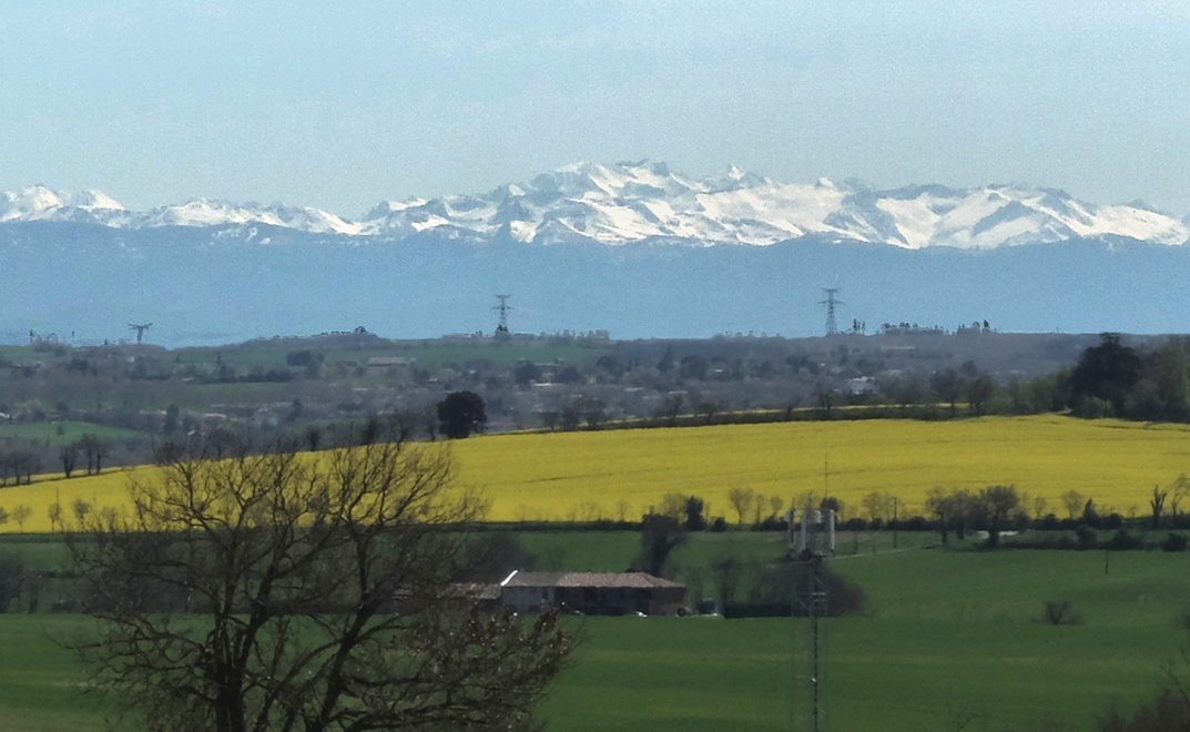 Accueil