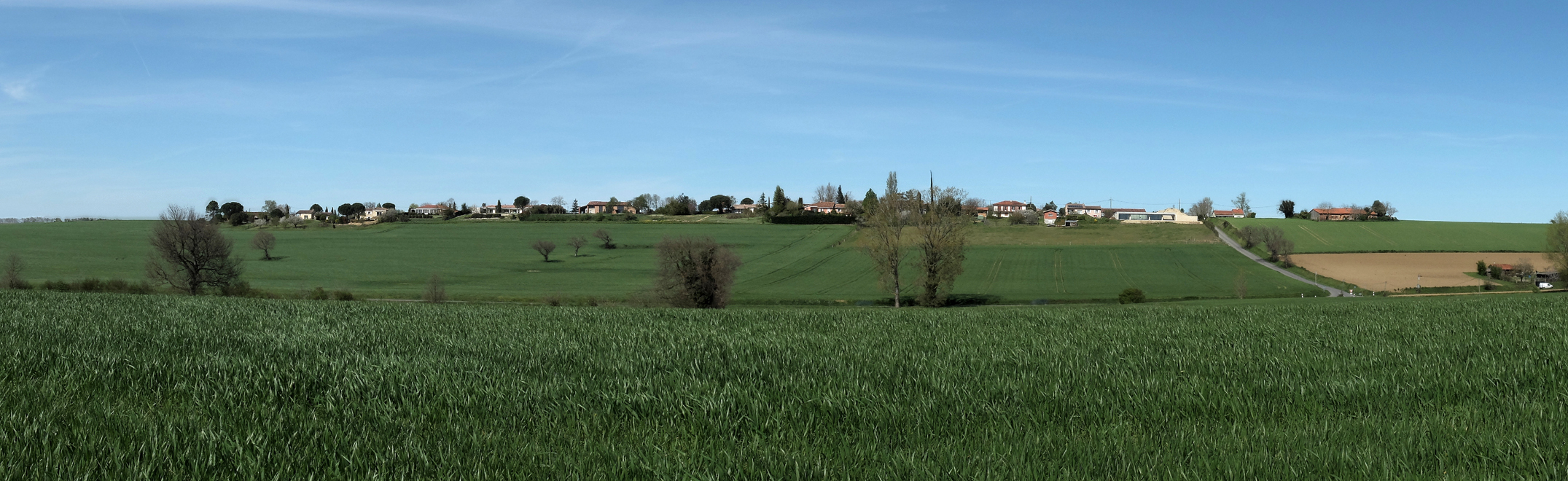 Accueil