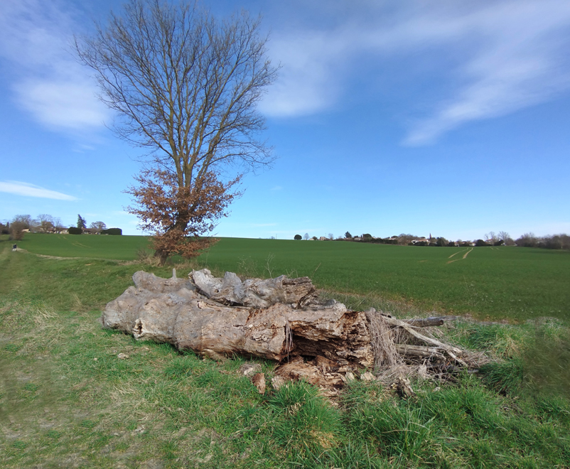 Accueil
