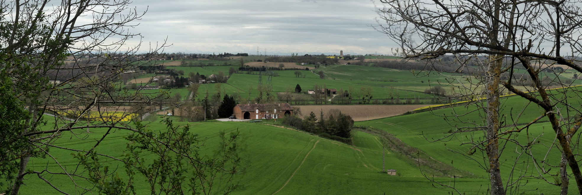 Accueil