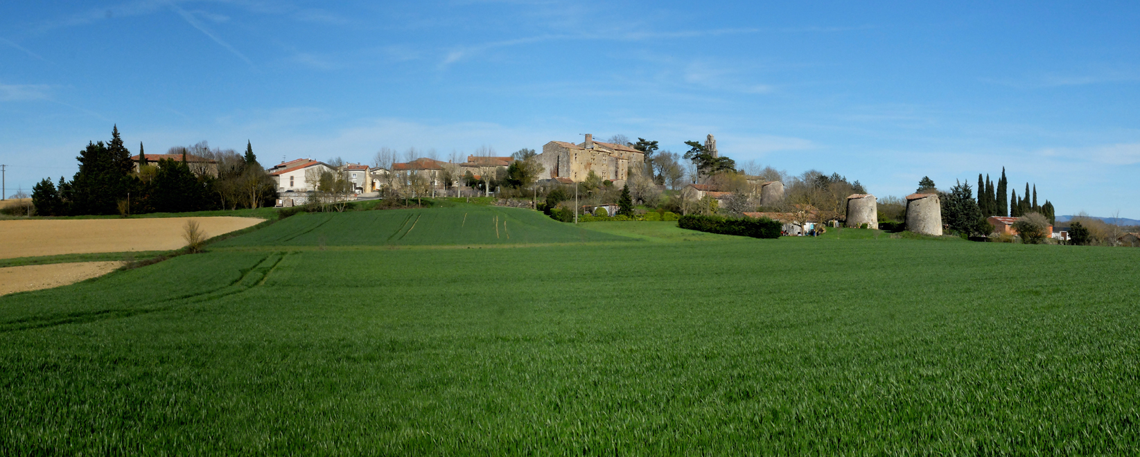 Accueil
