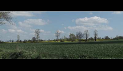 auz-2022-04-17-011 - pano