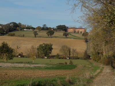 auz-2022-12-08-007