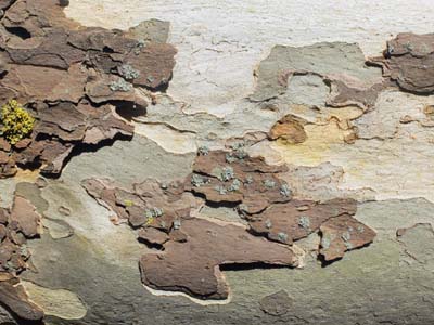 ayg-2023-11-20-012